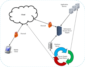 Cloud Server Hosting Setup